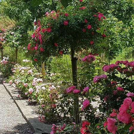 Domaine Les Rousselieres Villa Olonne-sur-Mer Ngoại thất bức ảnh