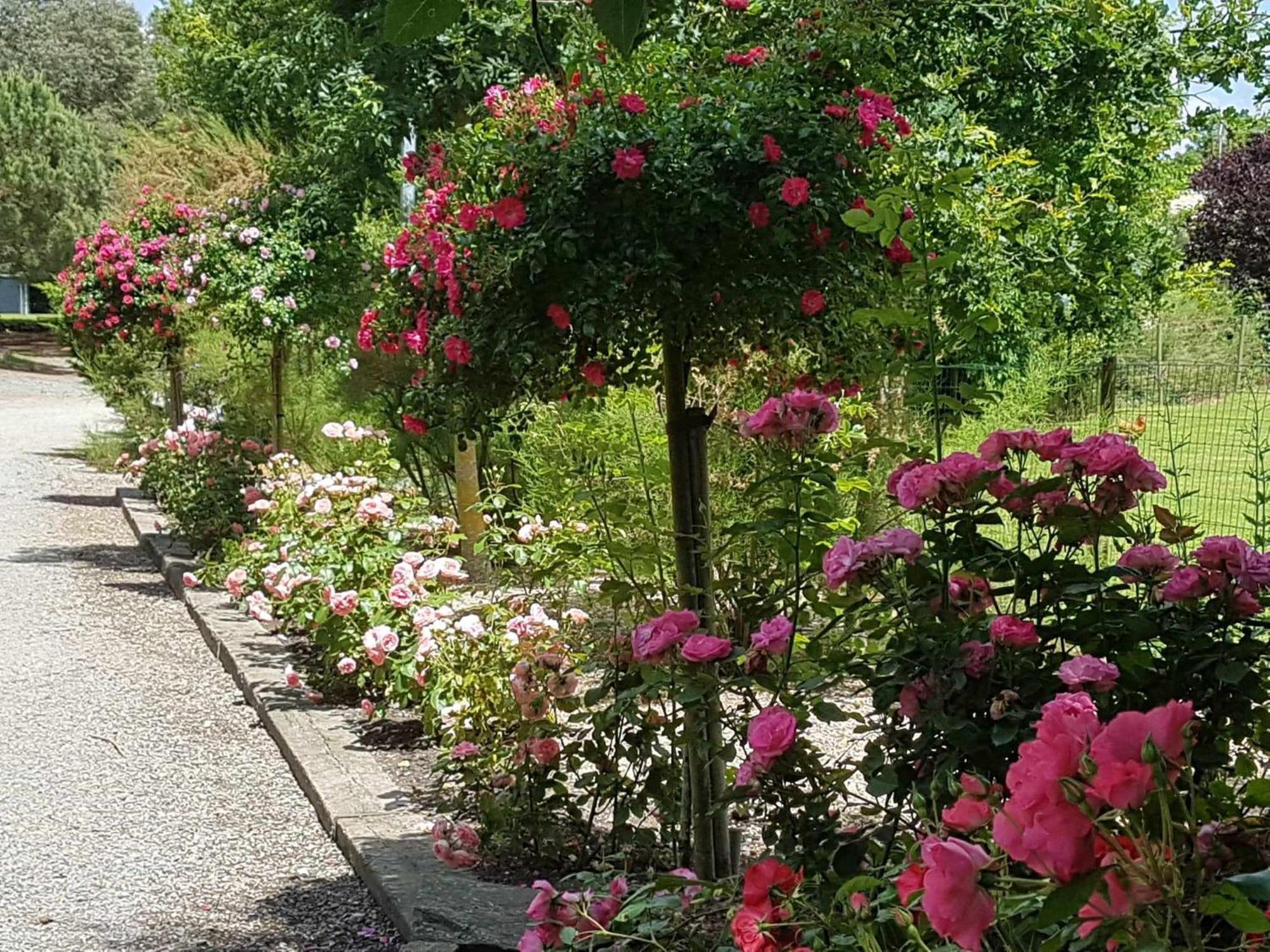 Domaine Les Rousselieres Villa Olonne-sur-Mer Ngoại thất bức ảnh