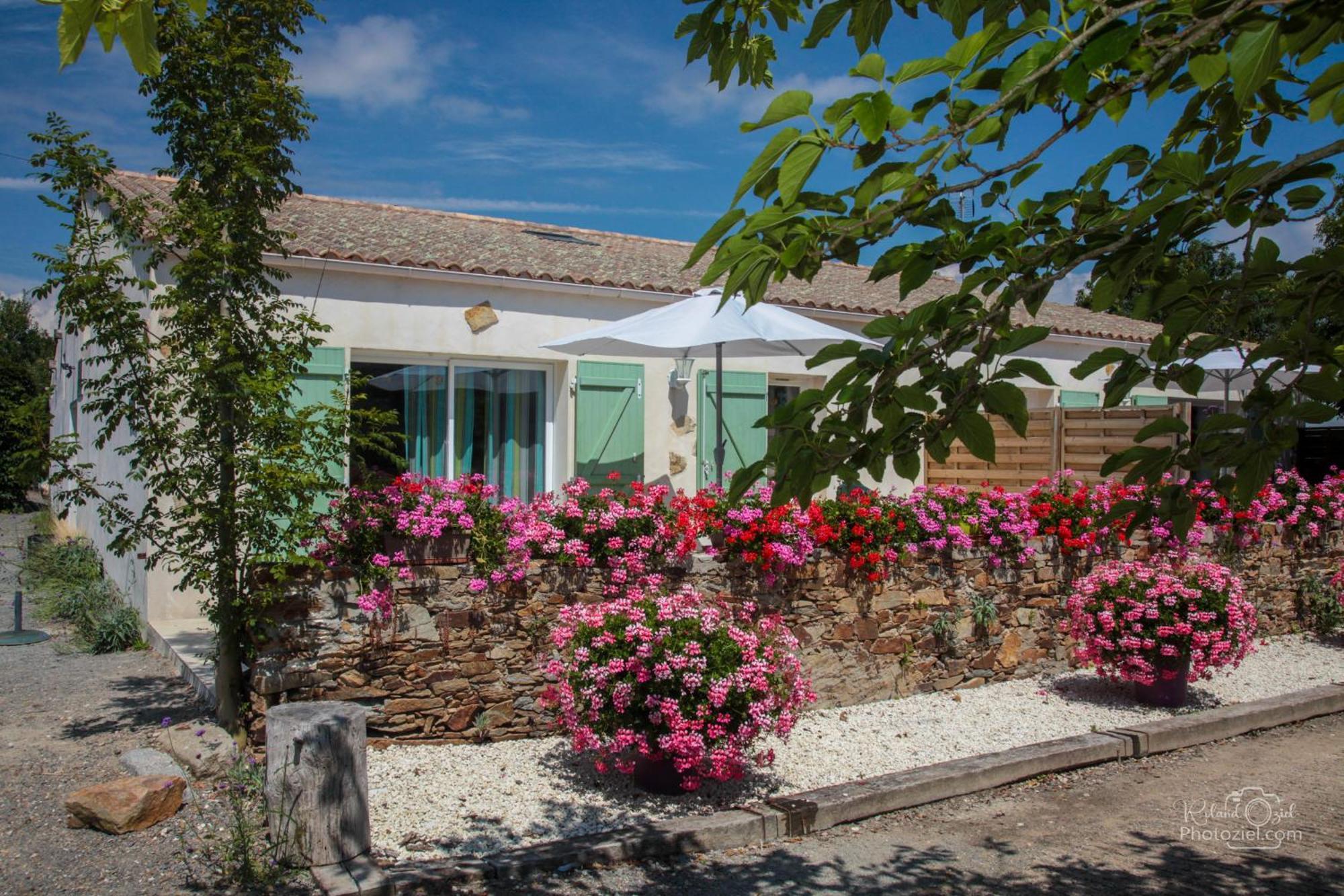 Domaine Les Rousselieres Villa Olonne-sur-Mer Ngoại thất bức ảnh